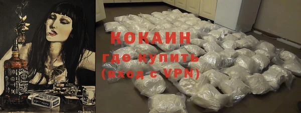 прущий лед Новозыбков