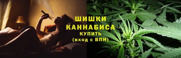 прущий лед Новозыбков