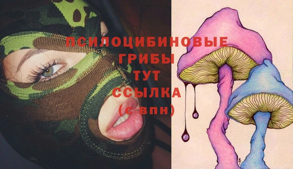 прущий лед Новозыбков