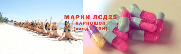 гидра Новодвинск