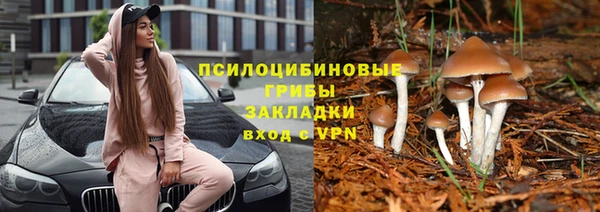 гидра Новодвинск