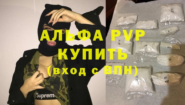 прущий лед Новозыбков