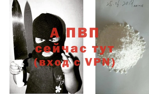 прущий лед Новозыбков