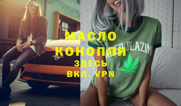 гидра Новодвинск