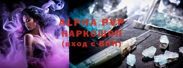 гидра Новодвинск