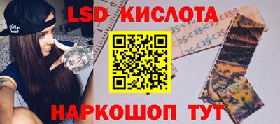 бошки Гатчина
