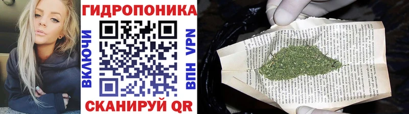 Каннабис план продажа наркотиков Краснознаменск